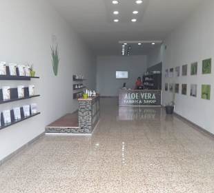 Aloe Vera Fresca Infocenter Teneriffa -  Chasna