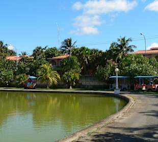 Parque Retiro Josone