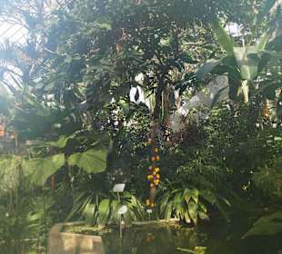 Anlage Planten un Blomen