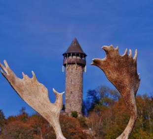 Wandern Berschweiler bei Kirn