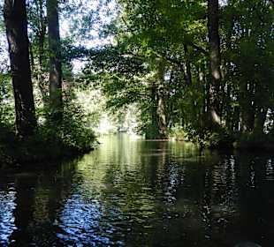 Spreewald