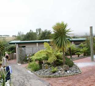 Thermalpool Waikite Valley