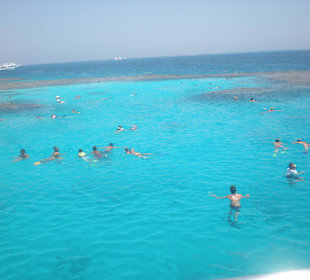 Beim Ausflug Richtung Insel Mahmya