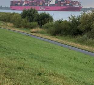 Wandern Hollern-Twielenfleth