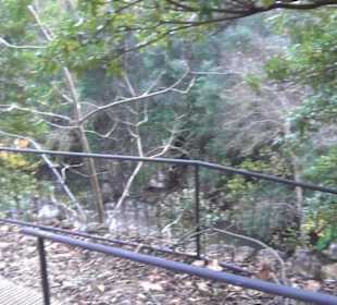 Aussenbereich - Bachlauf