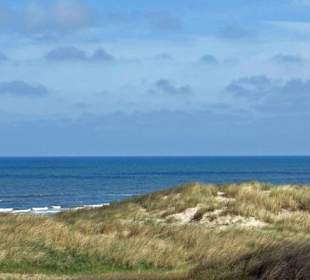 Die Dünen von Vejerstrand