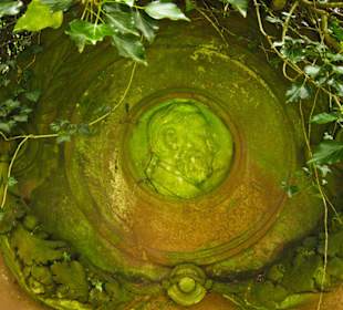 Кладбище Ольсдорф, Гамбург, 16 сентября 2013 года