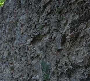 Burgruine Niederhaus