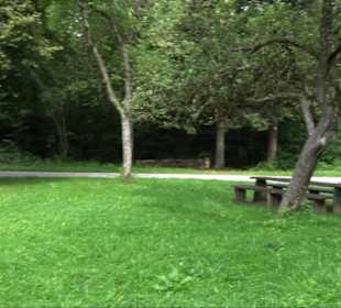 Sonnenaufgangs-Rundwanderung Rübgarten