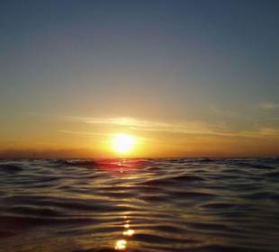 Sonnenuntergang - direkt aus dem Wasser