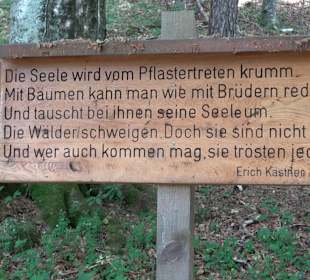 Waldlehrpfad in Tieringen
