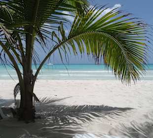 Ein Paradies in der Karibik-türkisfarbenes Wasser 