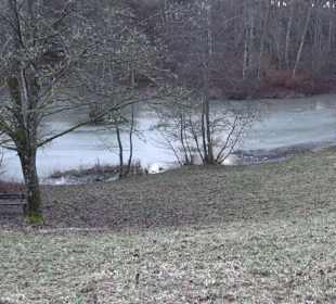 Ochsenweiher Rundweg