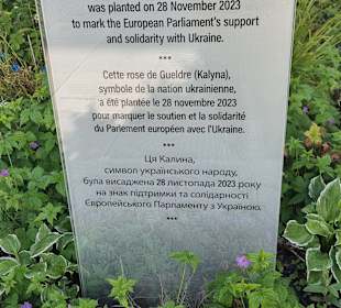 Gepflanzt für das ukrainische Volk