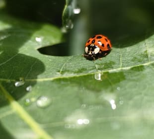 Wandern Bad Bevensen