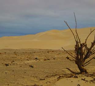 Deserto de Viana 