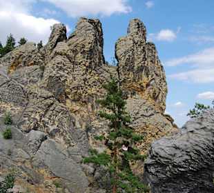 Hamburger Wappen bei BLK