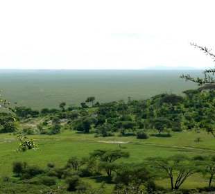 Die undendlichen Weiten der Serengeti