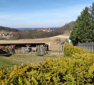 Hinunter nach Spielfeld