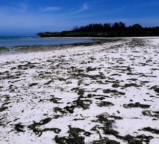 Strand vorm Rock Restaurant