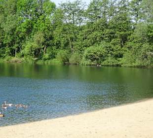 Der Strandbereich des Mahndorfer Sees