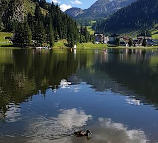 Zauchensee