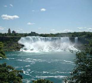 Die amerikanischen Fälle