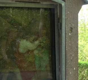 Kreuzweg Mariazell Boll