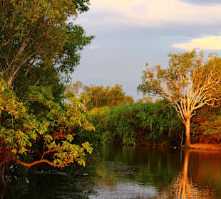 Kakadu NP