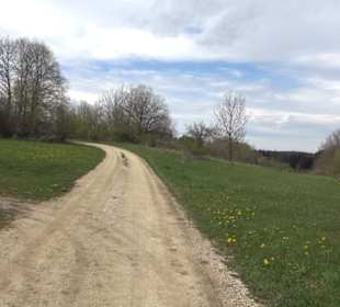 Vulkankrater-Rundweg Apfelstetten