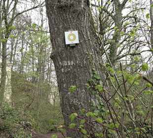 Wanderung rund um das Rusenschloss Gerhausen