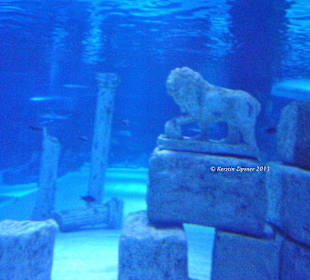 Griechiches Aquarium