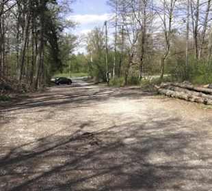Waldsportpfad im Wasenwald