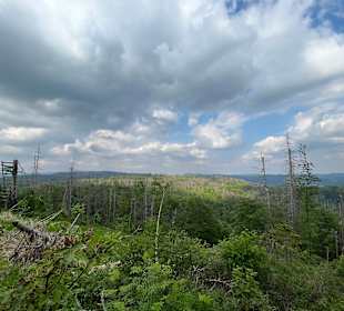 Ravensberg Bad Sachsa