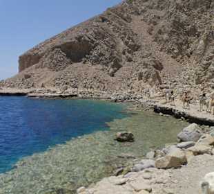 Ballade en chameaux vers Blue hole