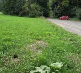 Wanderparkplatz Weilerwasen Zimmern