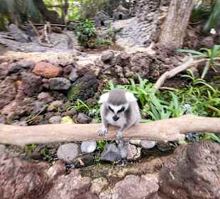 Parque Natural de Jandía