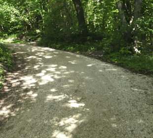 Burgruine Hohenstaufen