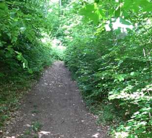 Premiumwanderweg "hochgelegen"