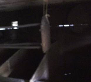 Kinzigtäler Speicher