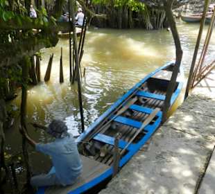 Mekong Delta