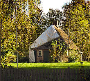 Парк Замка Ойтин.Золотая осень.