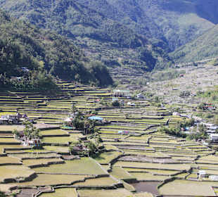 Reisterrassen Hungduan