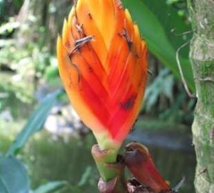 Impressionen aus dem botanischen Garten