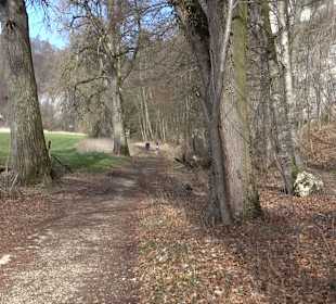 Fürstlicher Park Inzigkofen