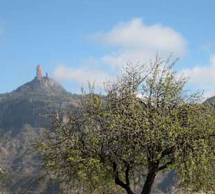 Roque Nublo