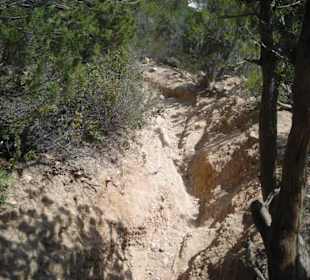 Il sentiero per salire al leone
