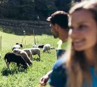 Wandern Silandro / Schlanders