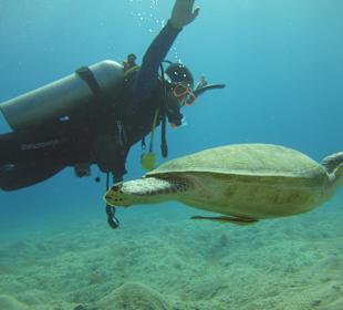 Tauchen Marsa Alam