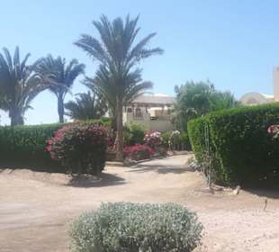 Wunderschöne Aussicht